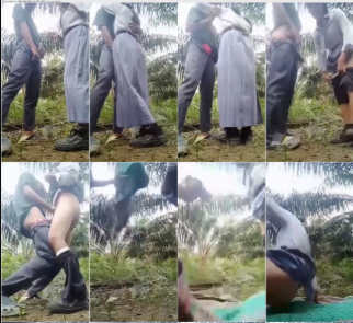 SMP Viral 2025 The Warmth Of Love Indo Viral Video Abg Seragam Bolos Sekolah Demi Merasakan Tarikan Nafas di Kebun Sawit Top Global Wikwik Hijab Inara